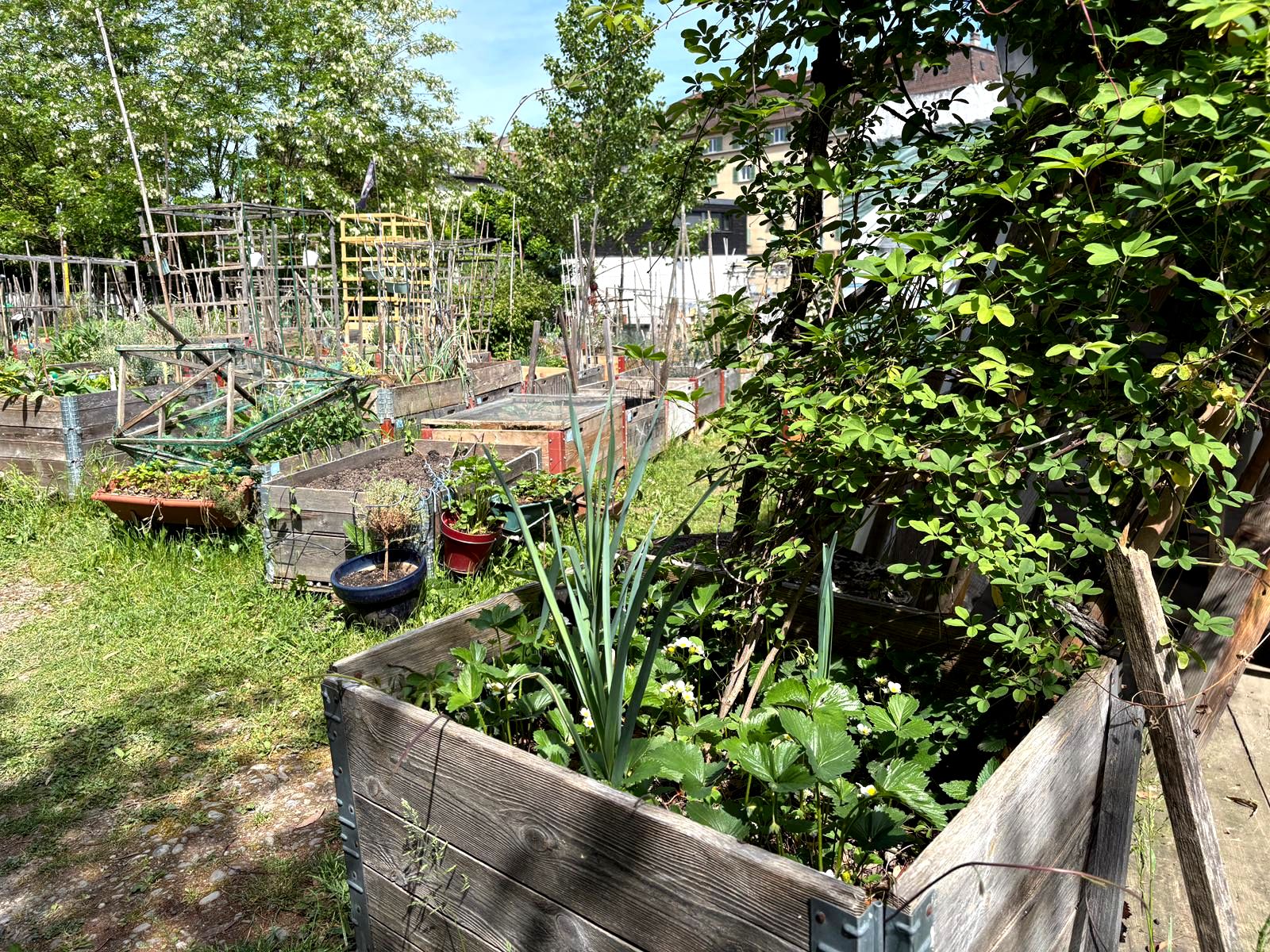 Association du Jardin des Moraines - AJDM
